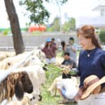 เบนซ์ ธนบุรี แรลลี่